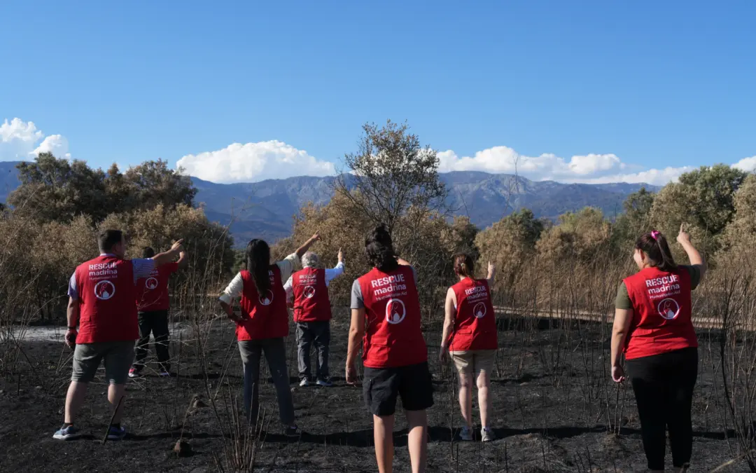 DESPUÉS DEL FUEGO, FUNDACIÓN MADRINA QUIERE HACER VOLVER LA VIDA